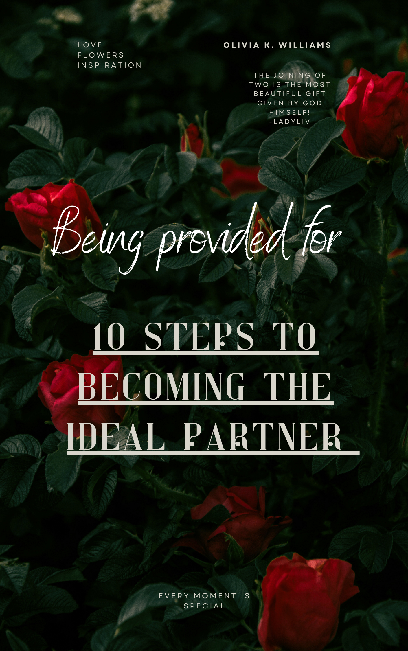 Instant E-book download: “ Being provided for, 10 steps to become the ideal partner”